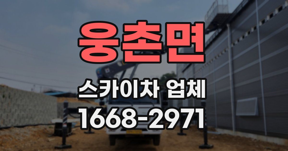 웅촌면 스카이차 업체
