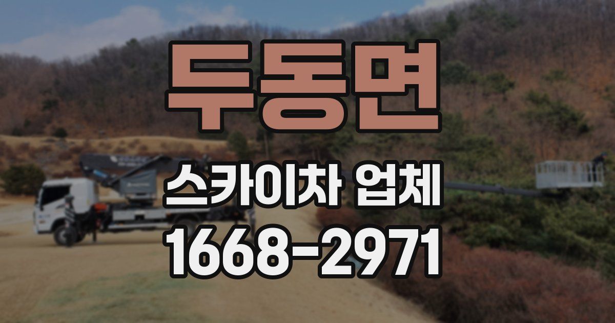 두동면 스카이차 업체