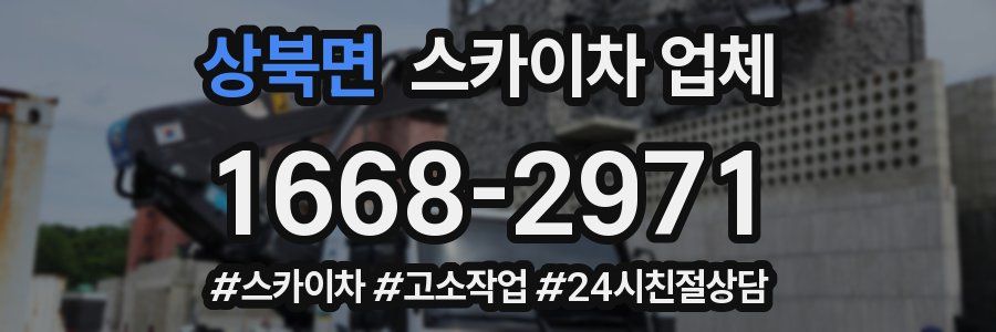 상북면 스카이차 업체