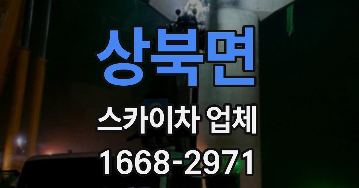 상북면 스카이차 업체