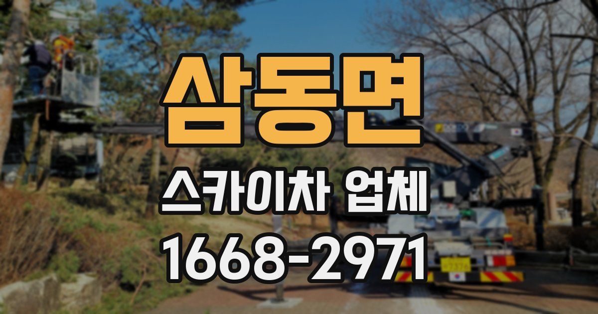 삼동면 스카이차 업체