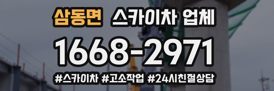 삼동면 스카이차 업체