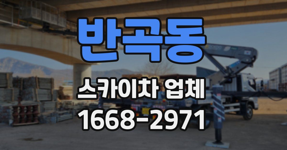 반곡동 스카이차 업체