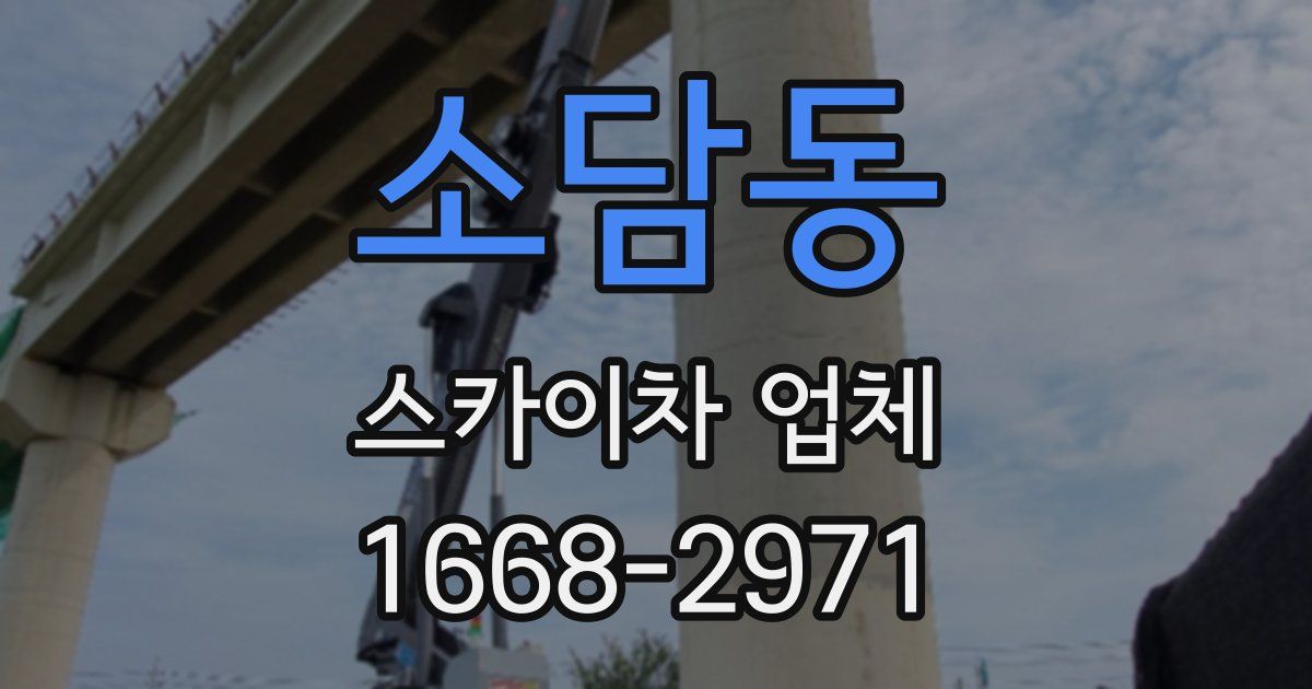 소담동 스카이차 업체