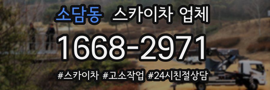 소담동 스카이차 업체