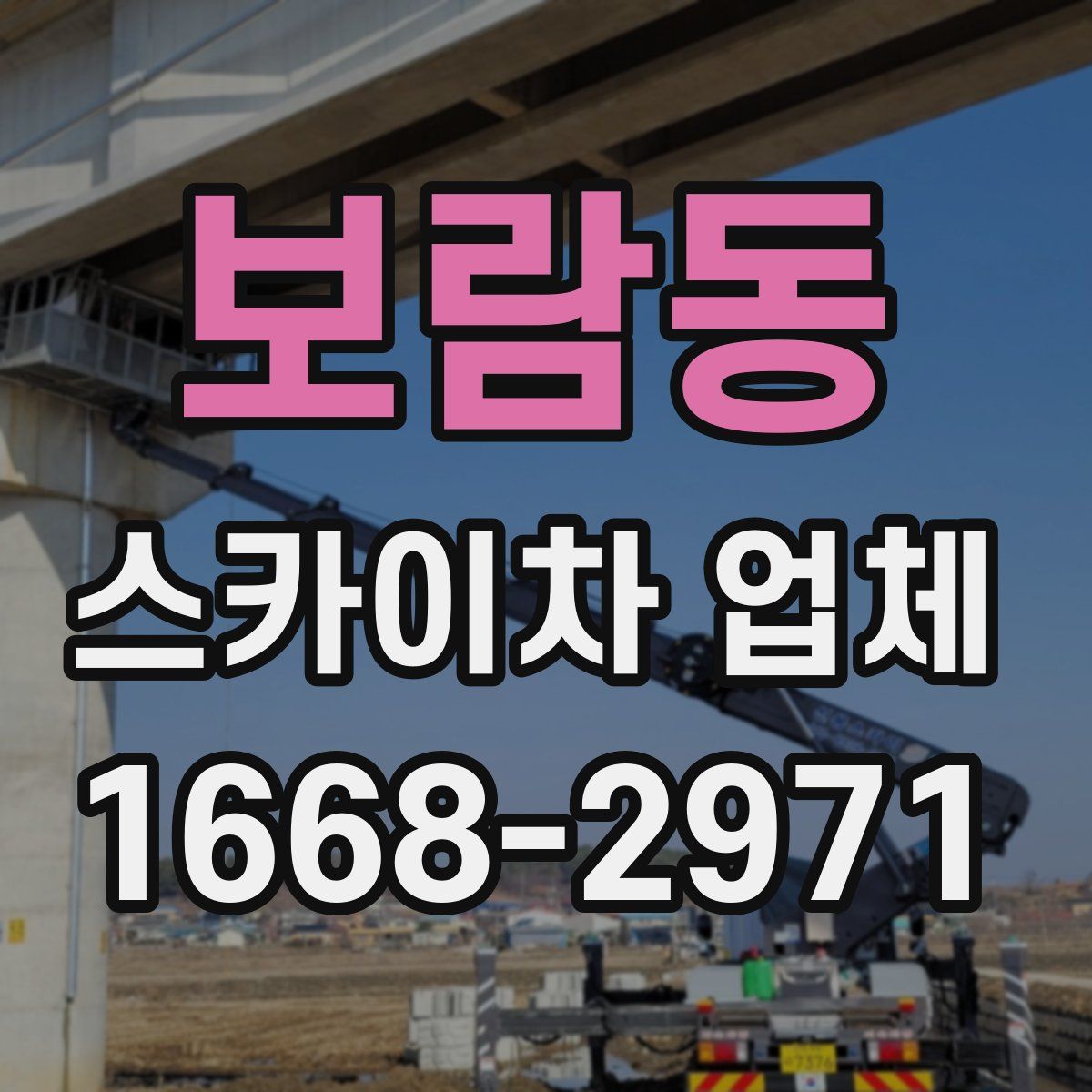 보람동 스카이차 업체