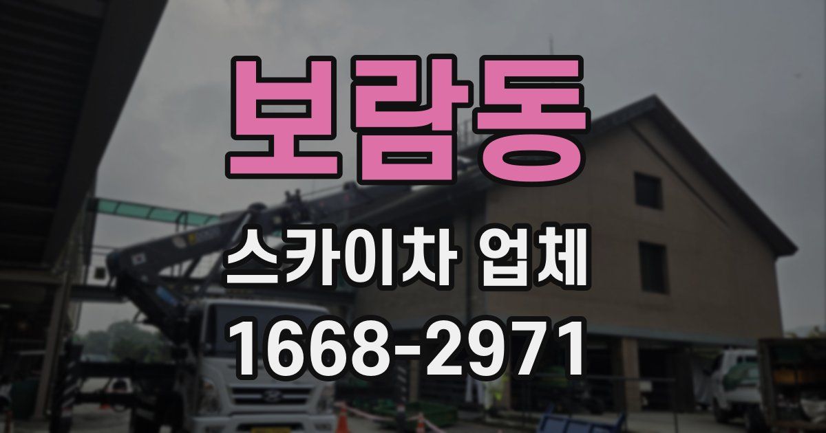 보람동 스카이차 업체