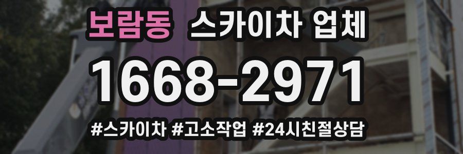 보람동 스카이차 업체