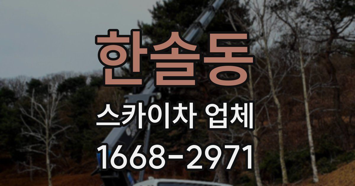 한솔동 스카이차 업체