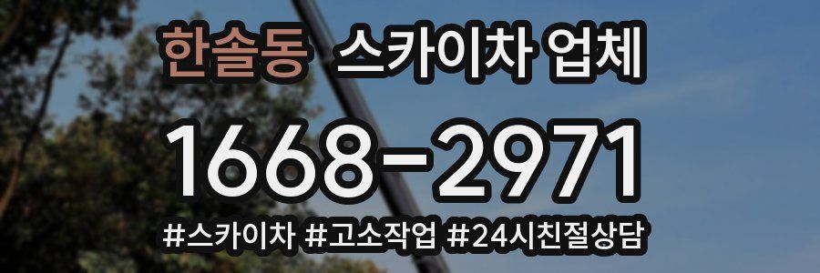 한솔동 스카이차 업체