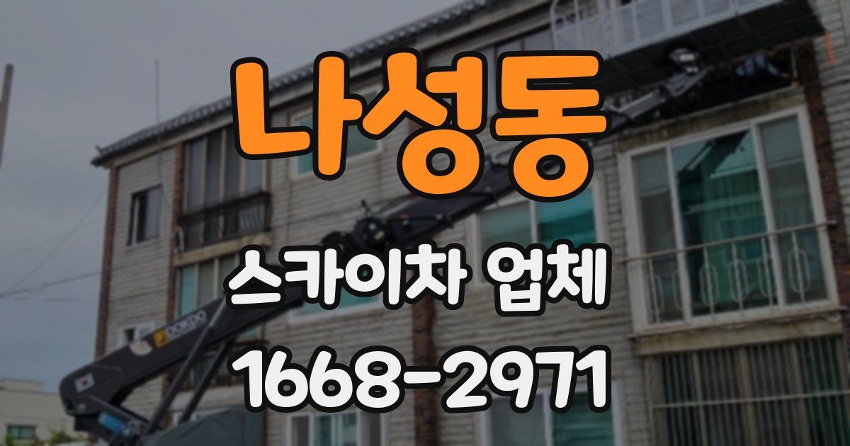 나성동 스카이차 업체