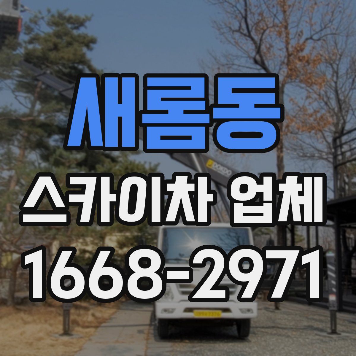 새롬동 스카이차 업체
