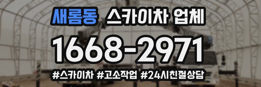 새롬동 스카이차 업체