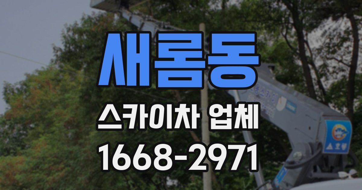 새롬동 스카이차 업체
