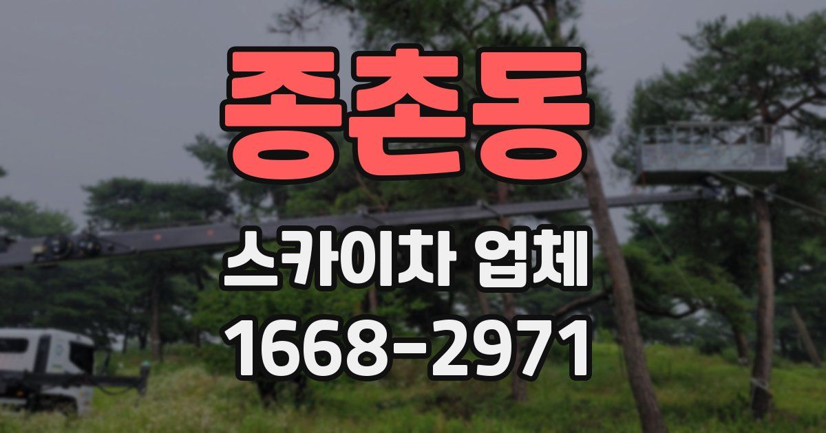 종촌동 스카이차 업체