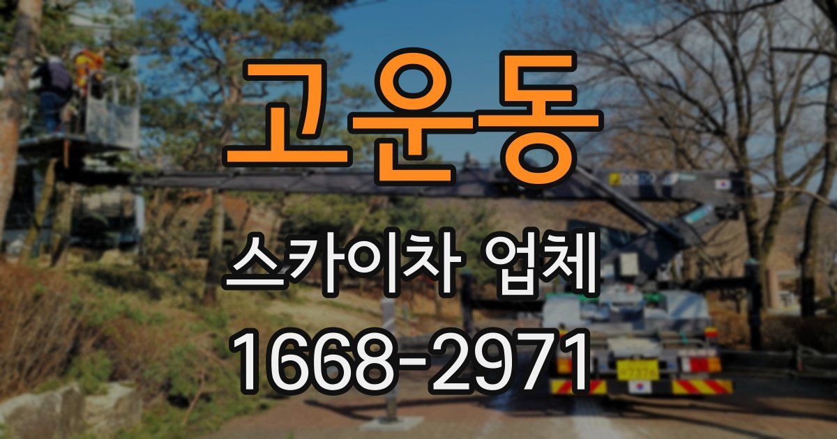 고운동 스카이차 업체
