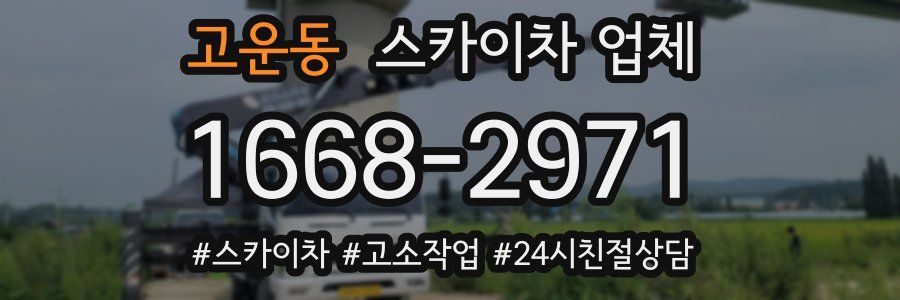 고운동 스카이차 업체
