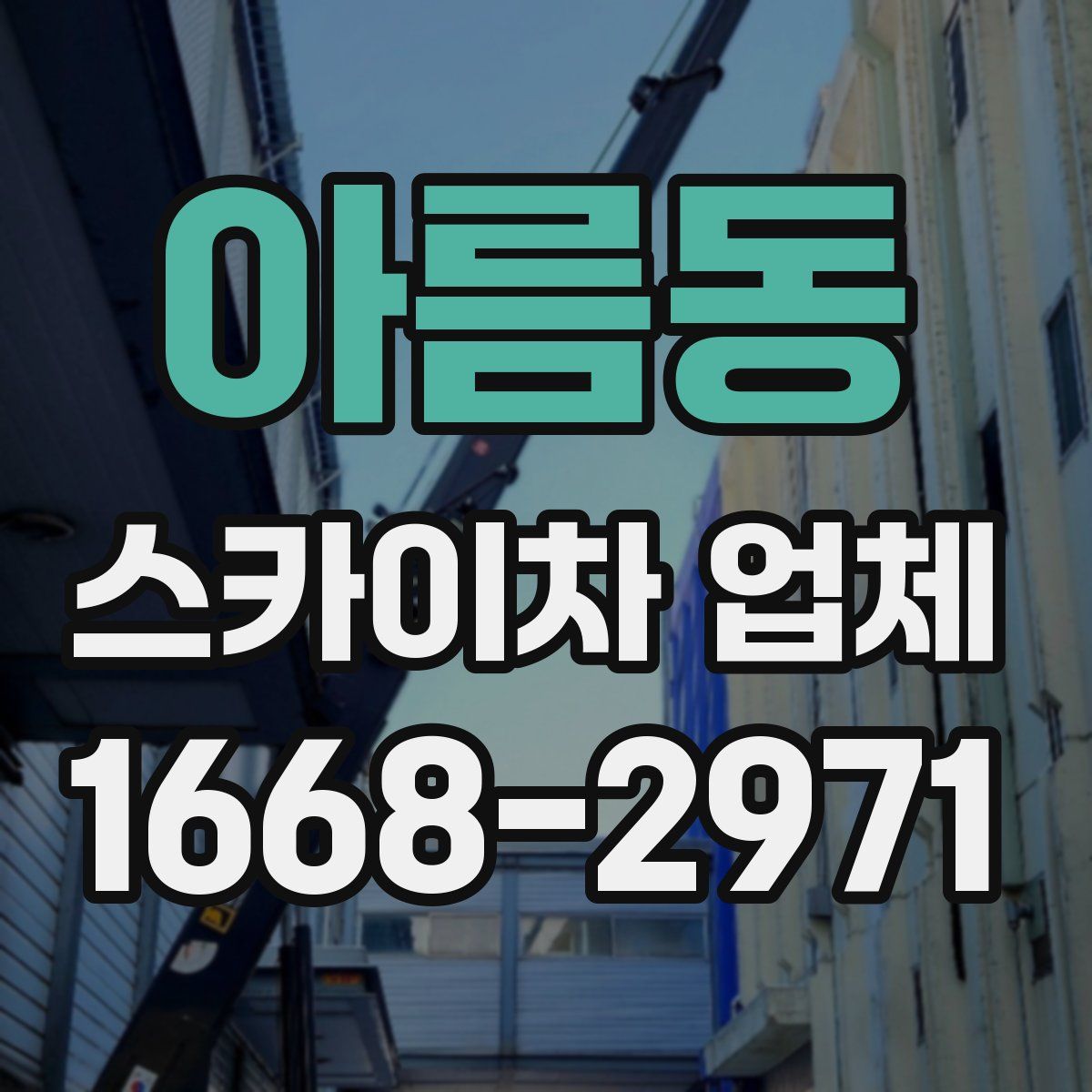 아름동 스카이차 업체