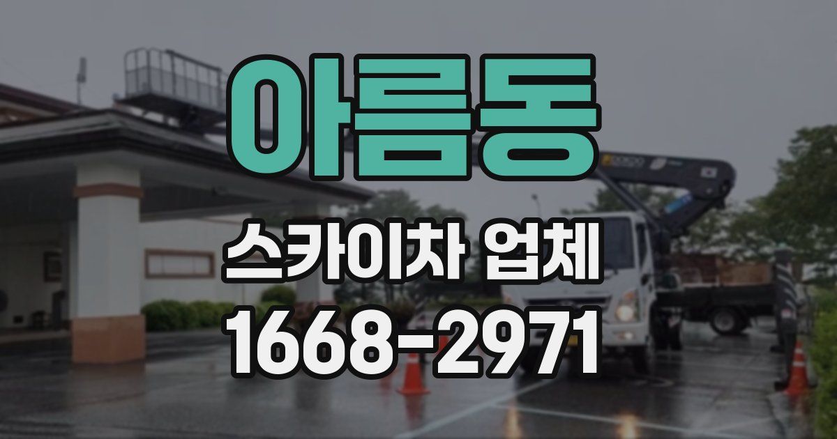 아름동 스카이차 업체