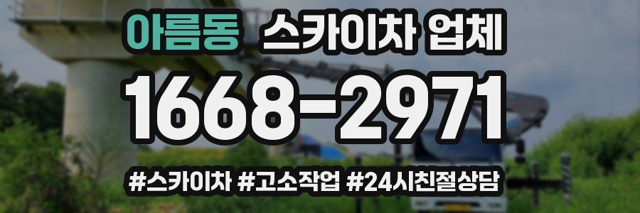 아름동 스카이차 업체