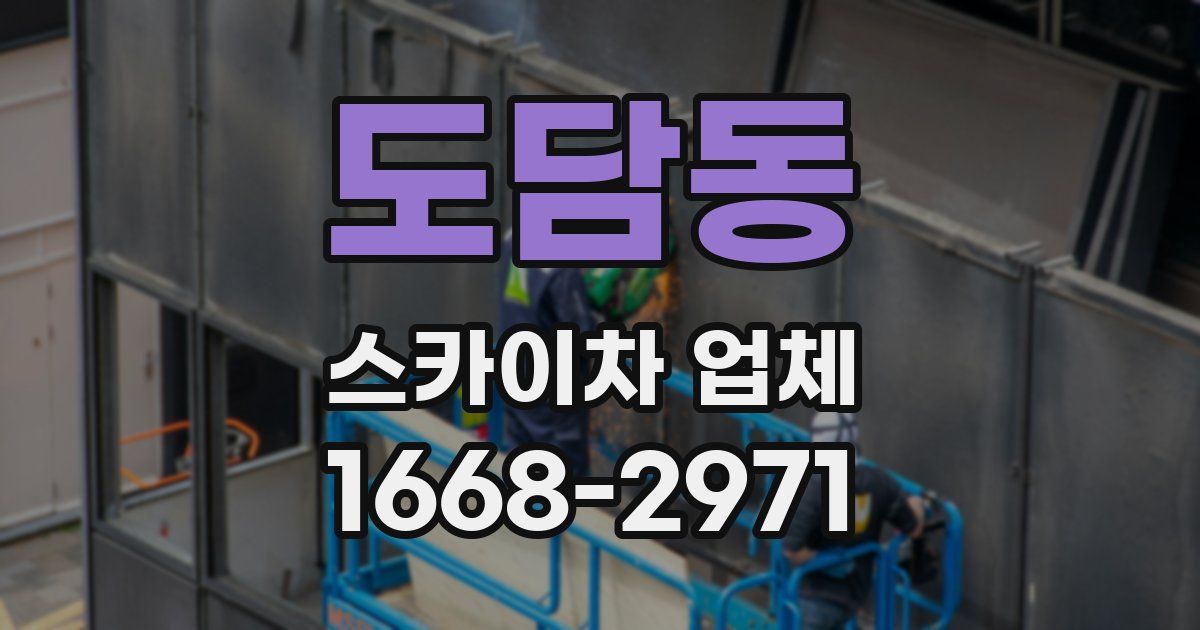 도담동 스카이차 업체