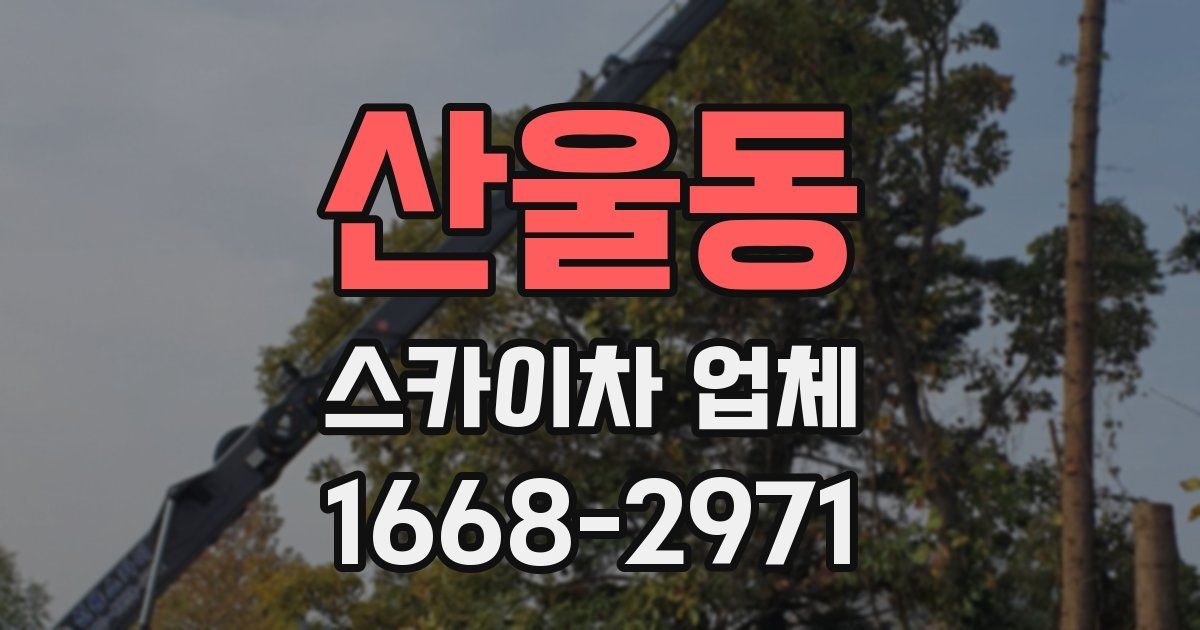 산울동 스카이차 업체