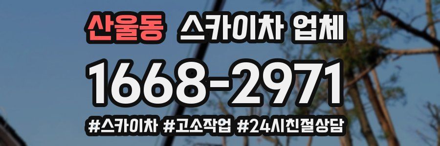 산울동 스카이차 업체