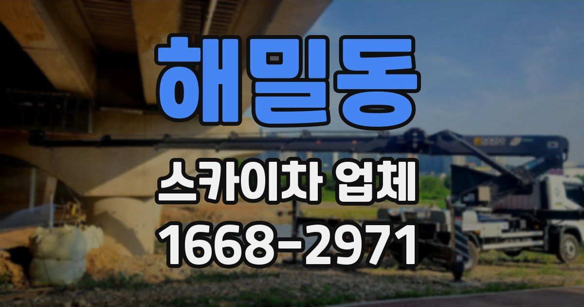 해밀동 스카이차 업체