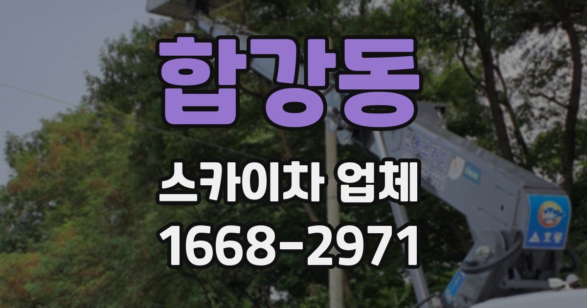 합강동 스카이차 업체