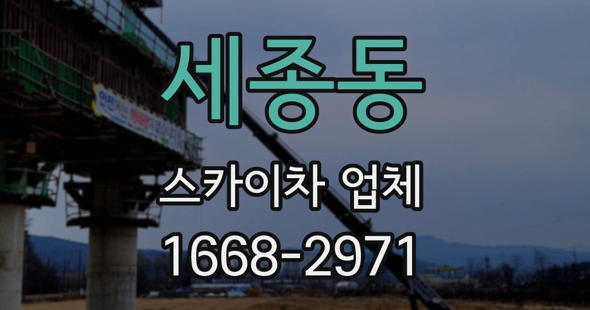 세종동 스카이차 업체