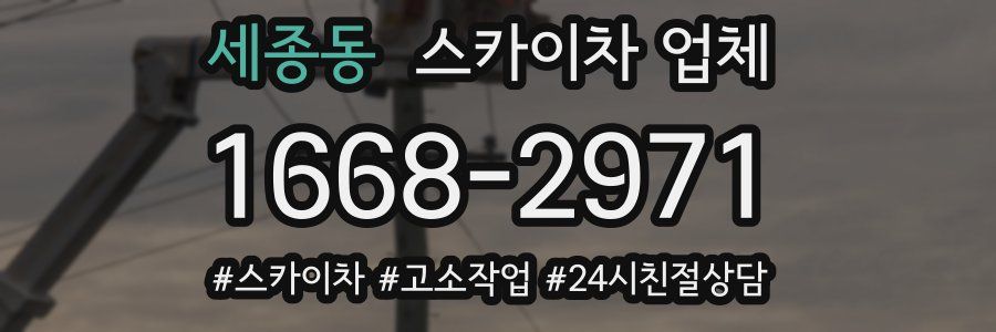 세종동 스카이차 업체