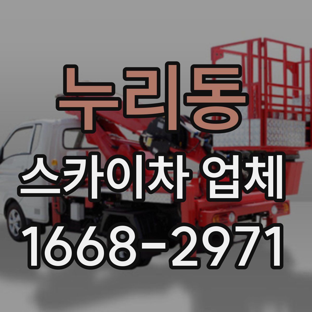 누리동 스카이차 업체