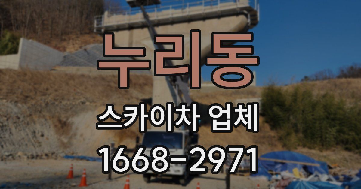 누리동 스카이차 업체