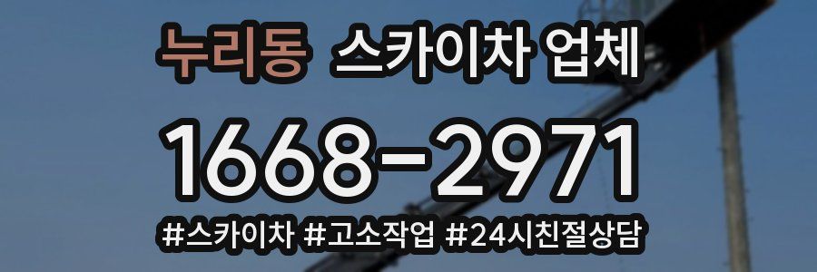 누리동 스카이차 업체