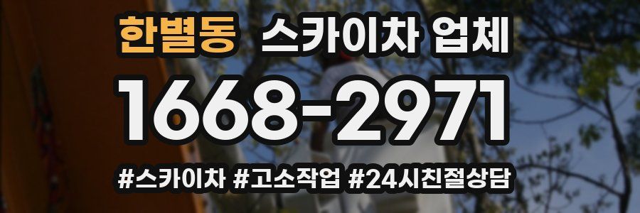 한별동 스카이차 업체