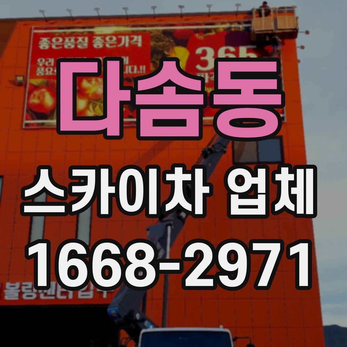 다솜동 스카이차 업체