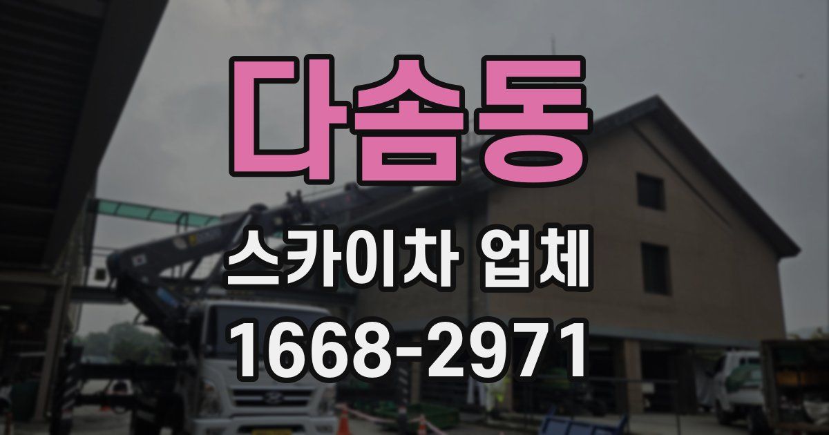 다솜동 스카이차 업체