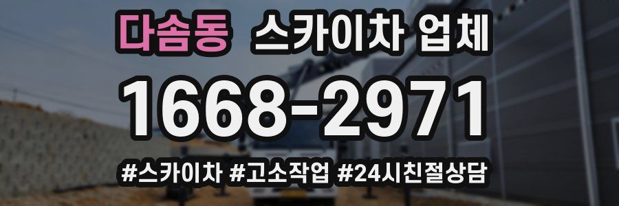 다솜동 스카이차 업체