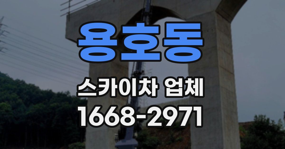 용호동 스카이차 업체