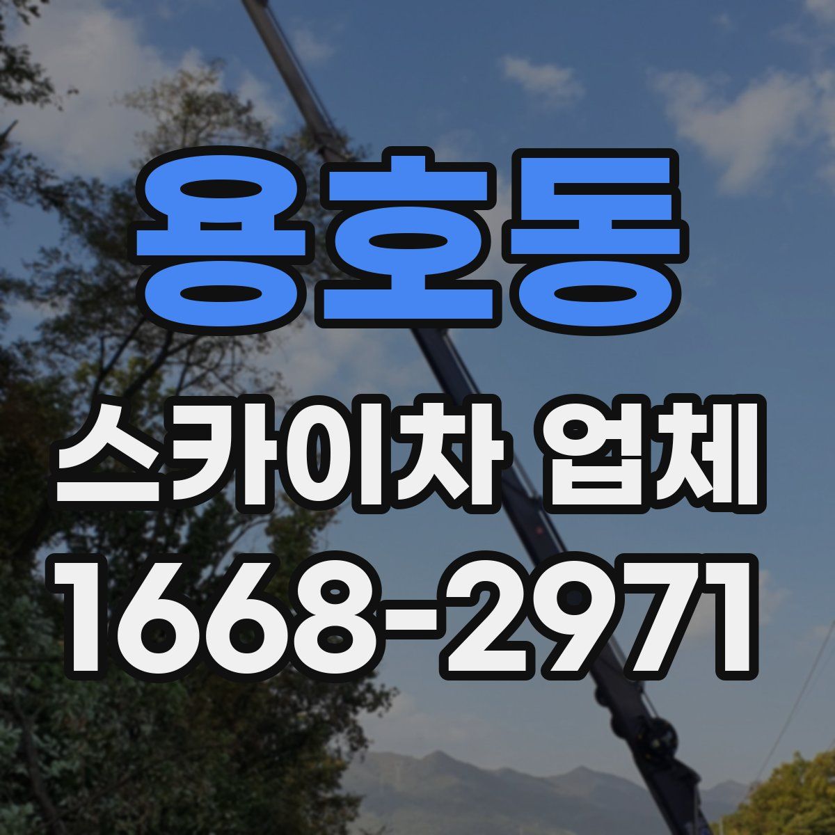 용호동 스카이차 업체