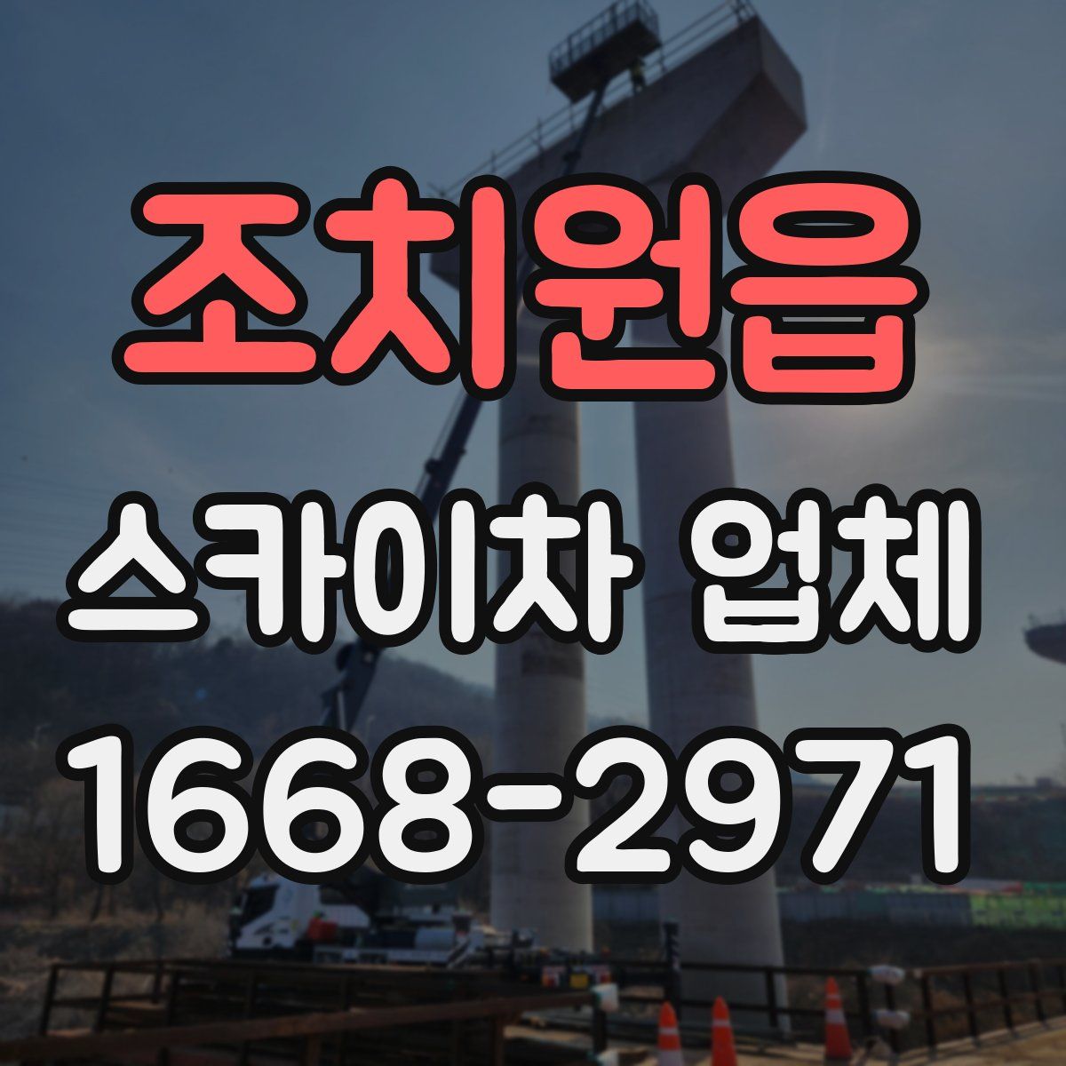 조치원읍 스카이차 업체