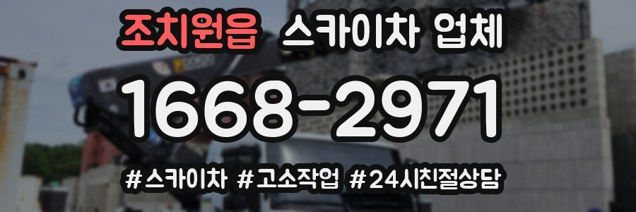조치원읍 스카이차 업체