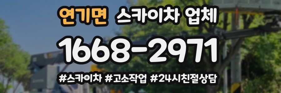 연기면 스카이차 업체