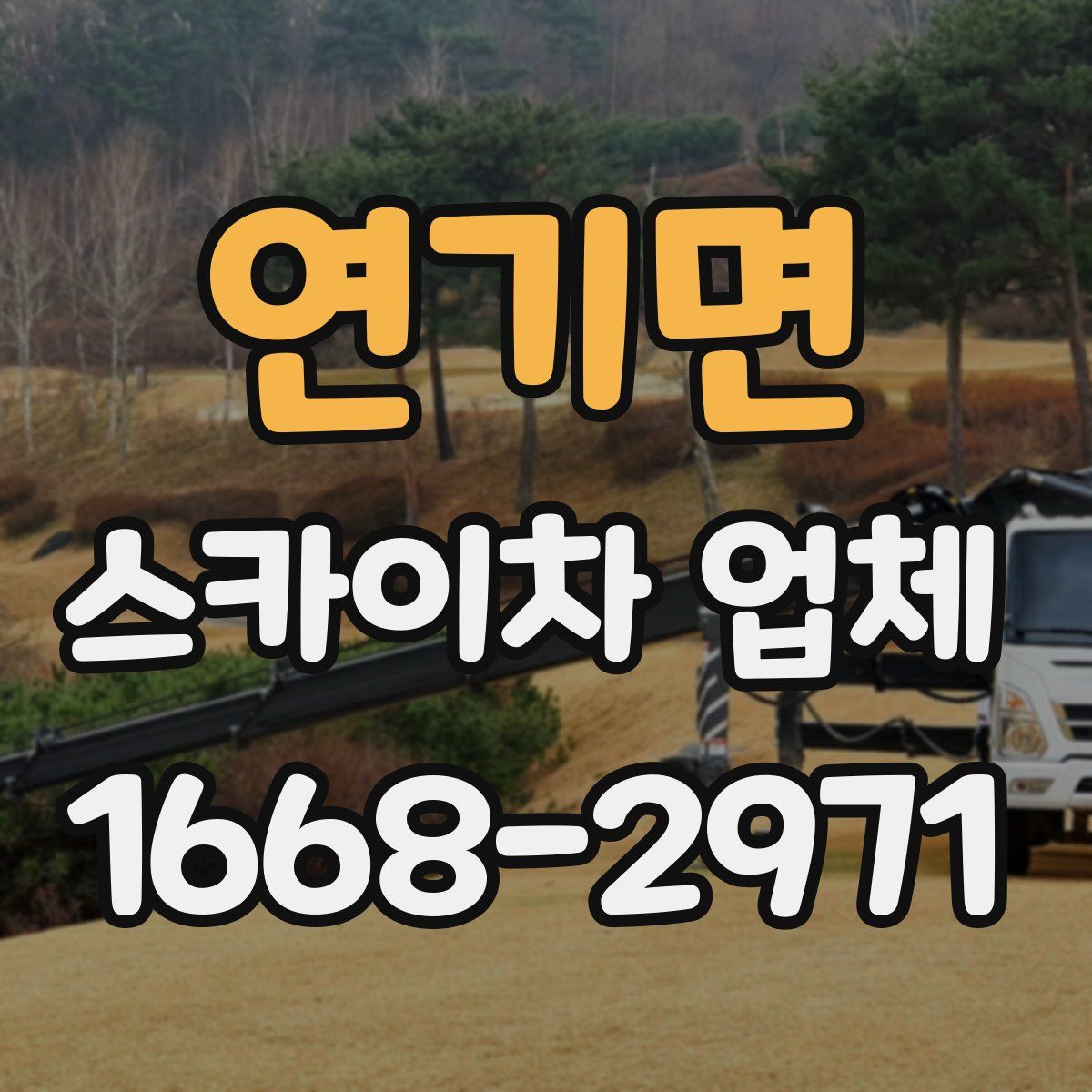 연기면 스카이차 업체
