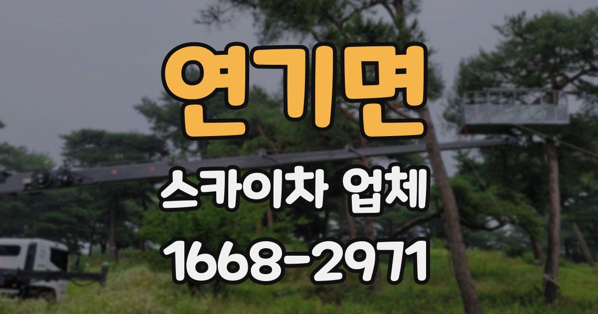 연기면 스카이차 업체