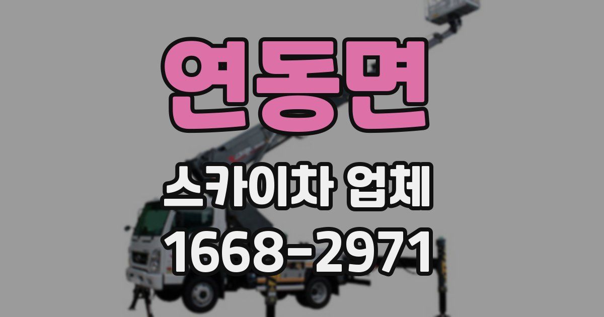 연동면 스카이차 업체
