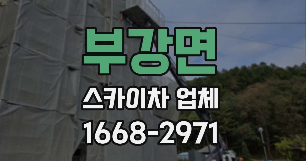 부강면 스카이차 업체