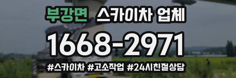 부강면 스카이차 업체