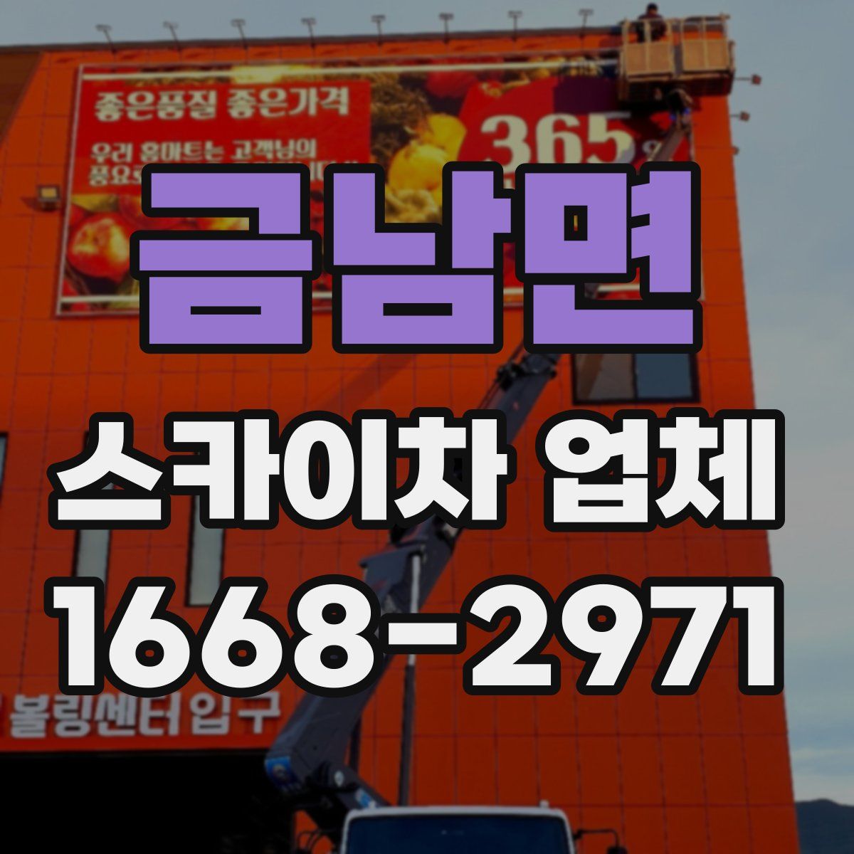 금남면 스카이차 업체
