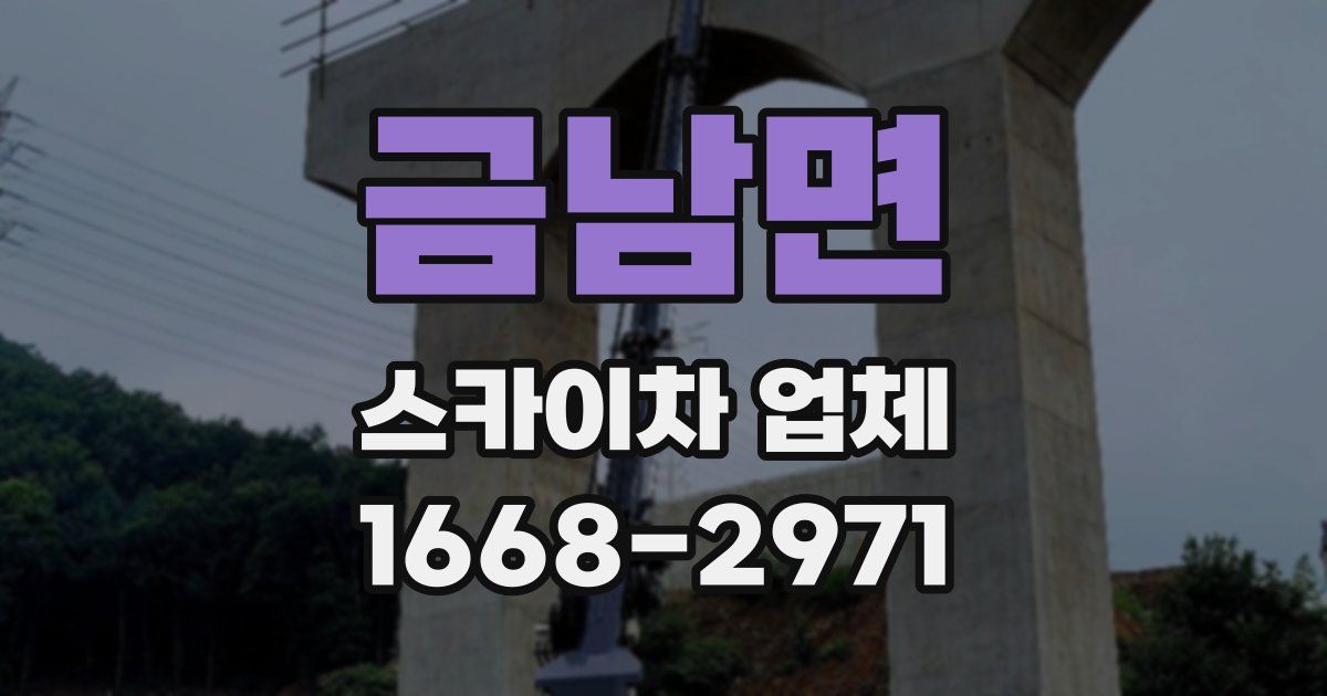 금남면 스카이차 업체